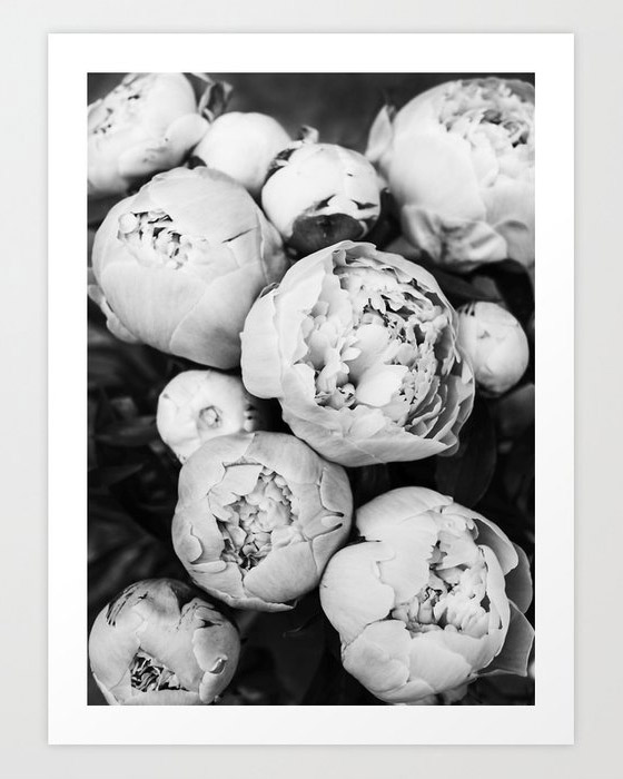 floral art print options for your home